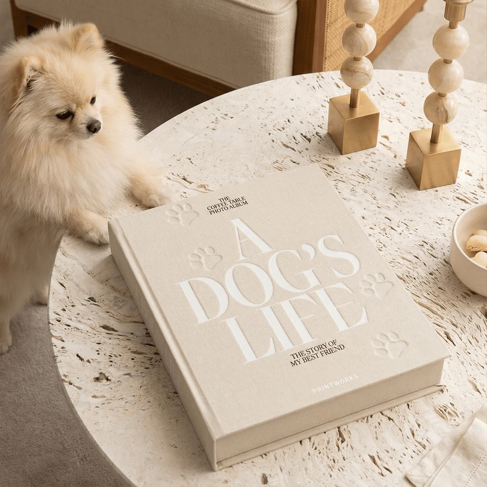 'A Dog's Life' Decorative Photo Album