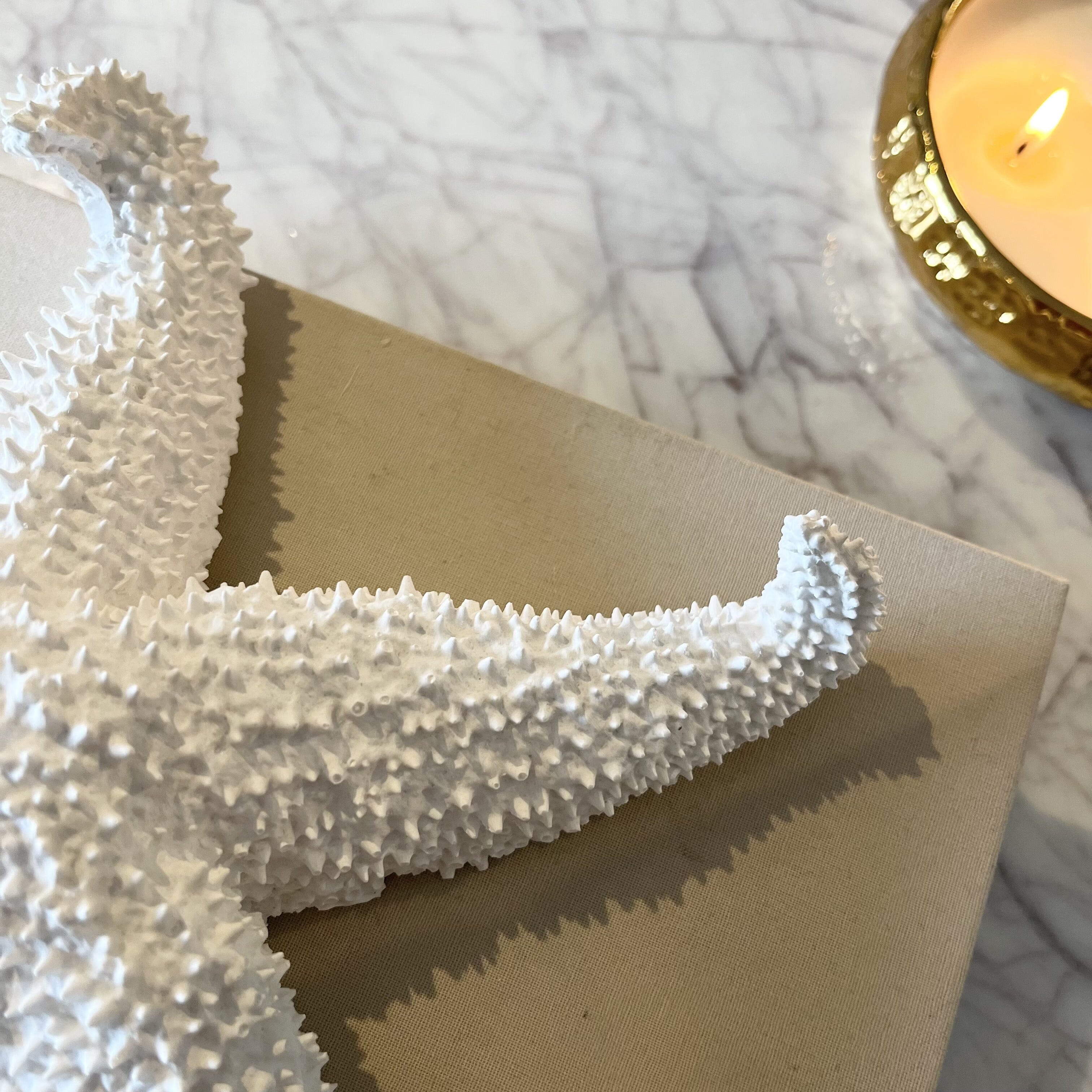 Ada White Textured Decorative Starfish Ornament - Image 2