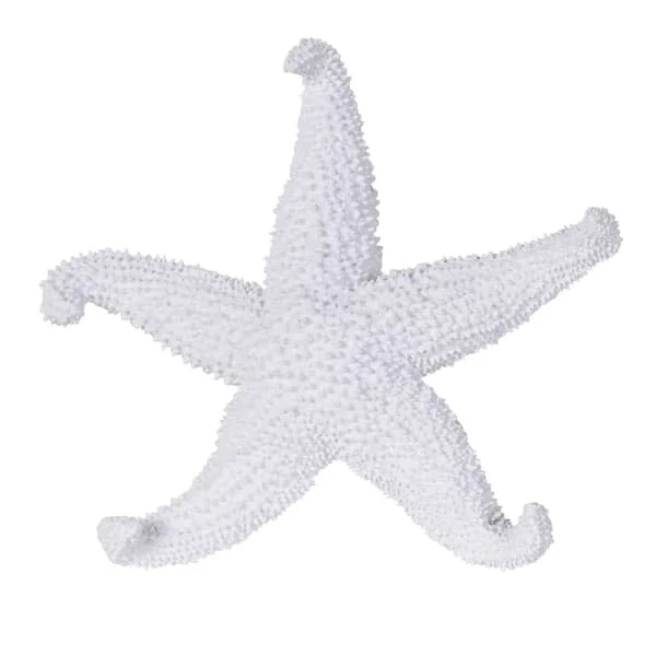 Ada White Textured Decorative Starfish Ornament - Image 3