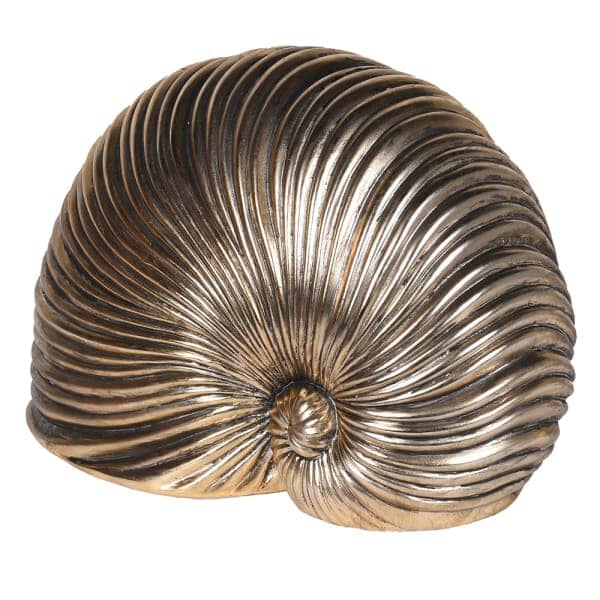 Bianco Gold Shell Decorative Ornament - Image 4