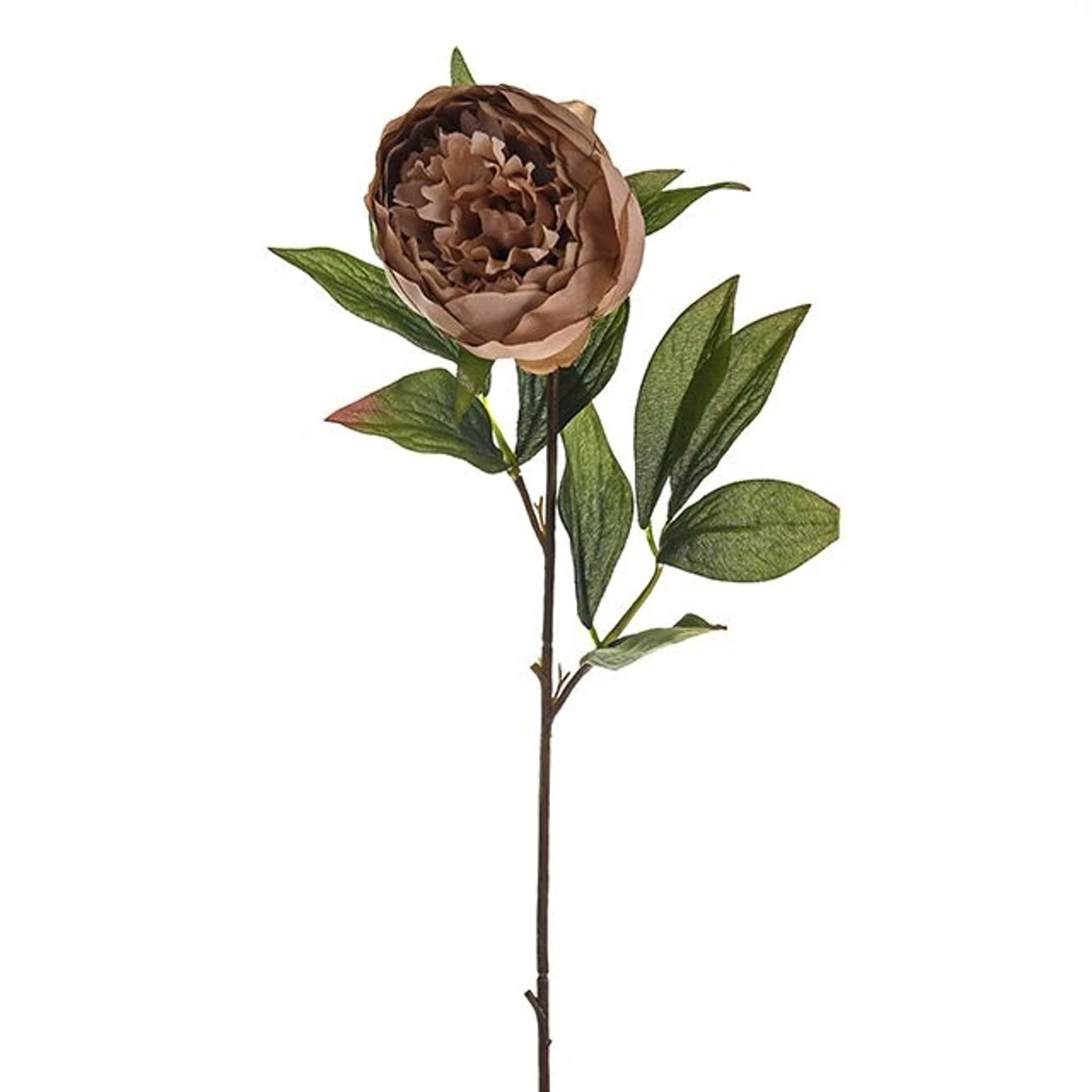 Caramel Faux Peony Single Stem Floral - Image 2