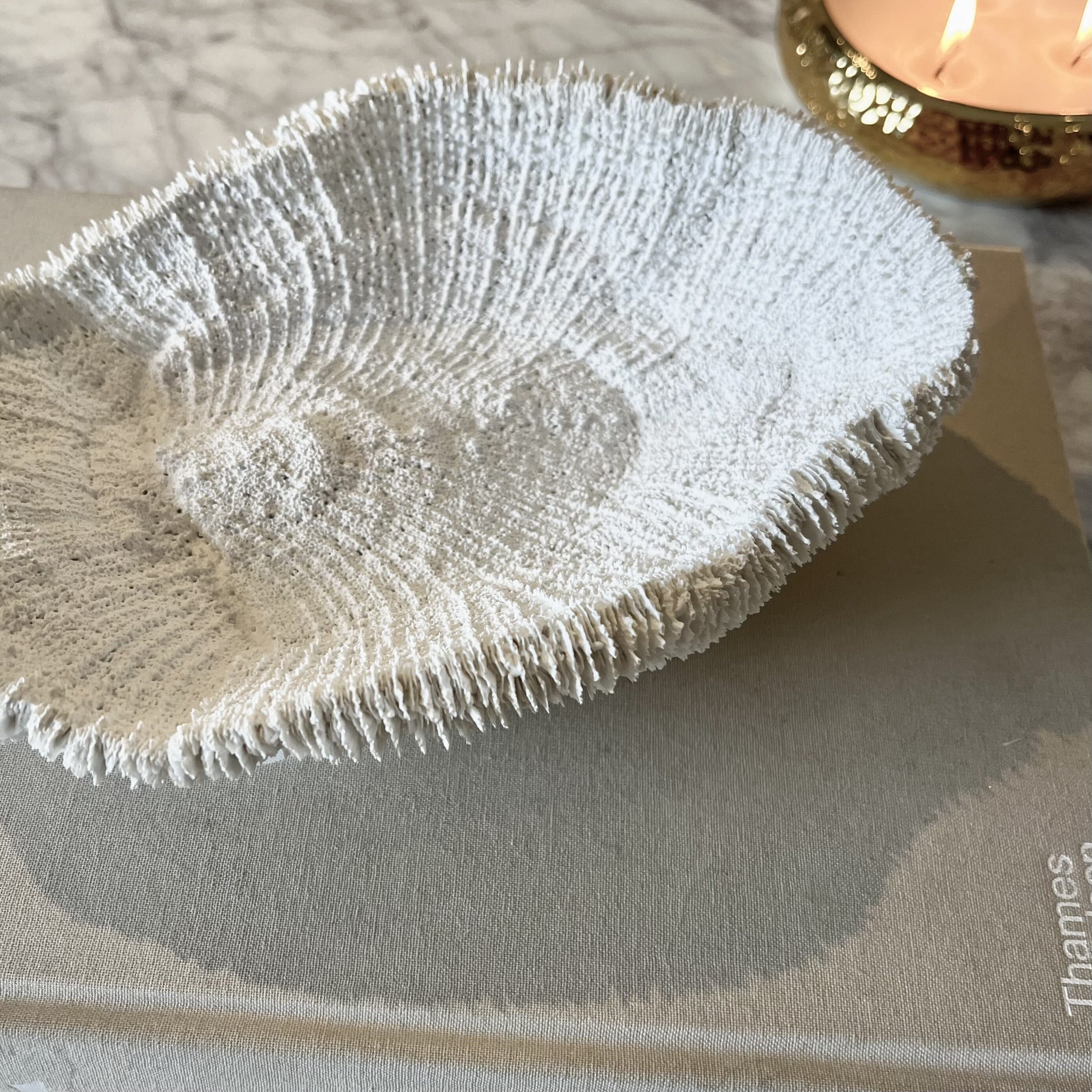 Darcey White Faux Coral Textured Decorative Dish - Image 2