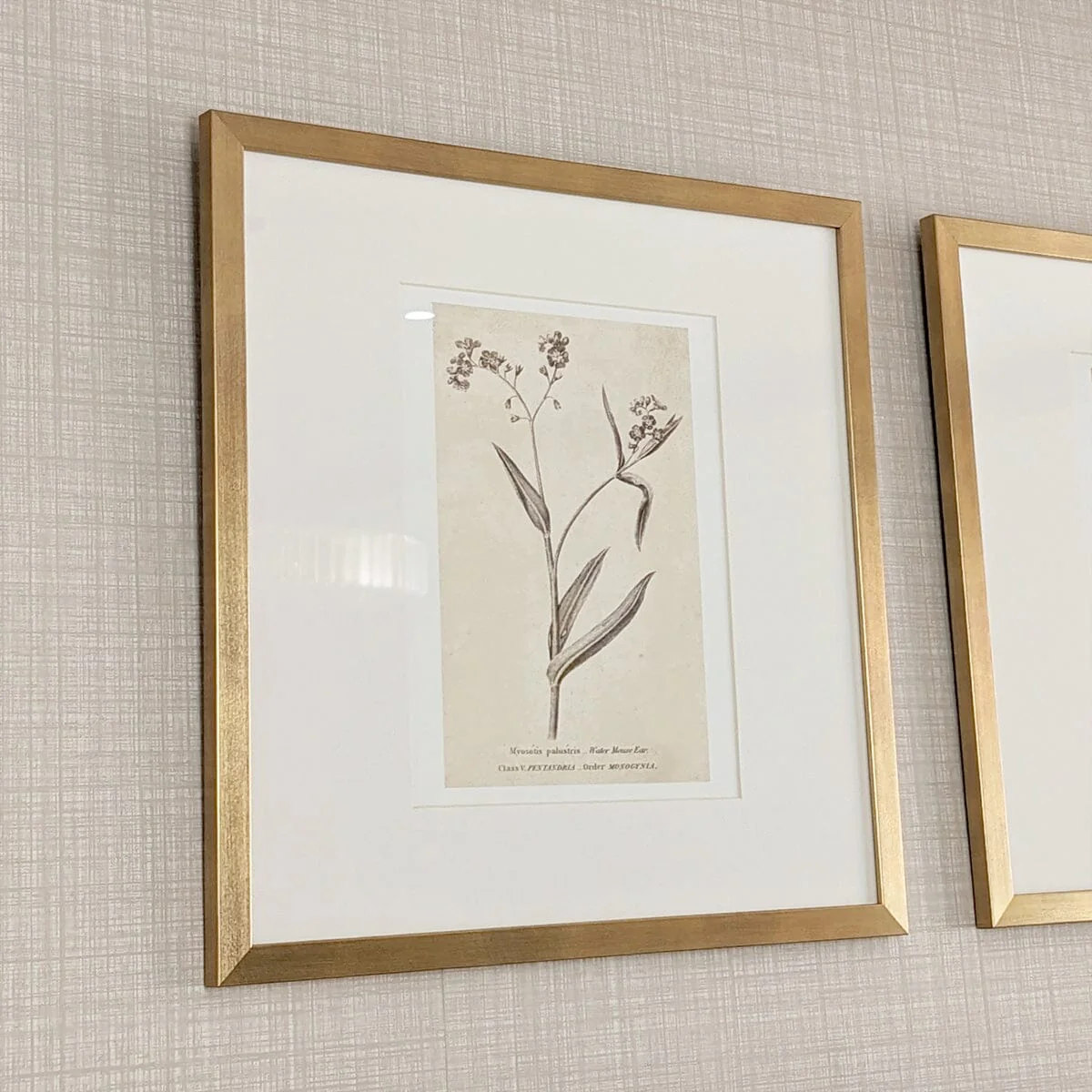 Diana Gold Framed Neutral Flower Wall Art - I