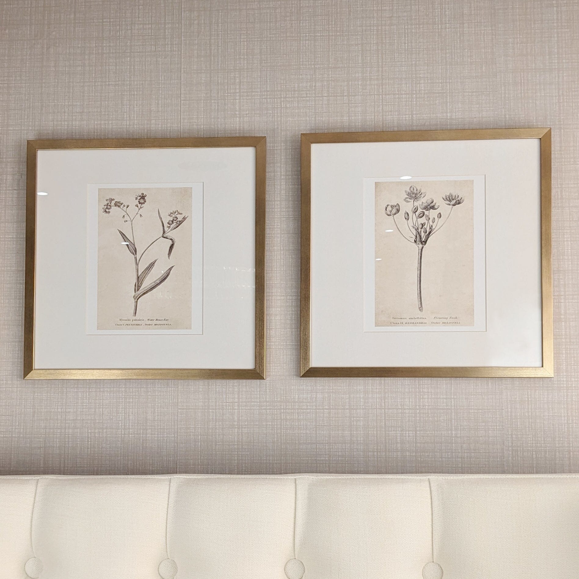 Diana Gold Framed Neutral Flower Wall Art - II - Image 2