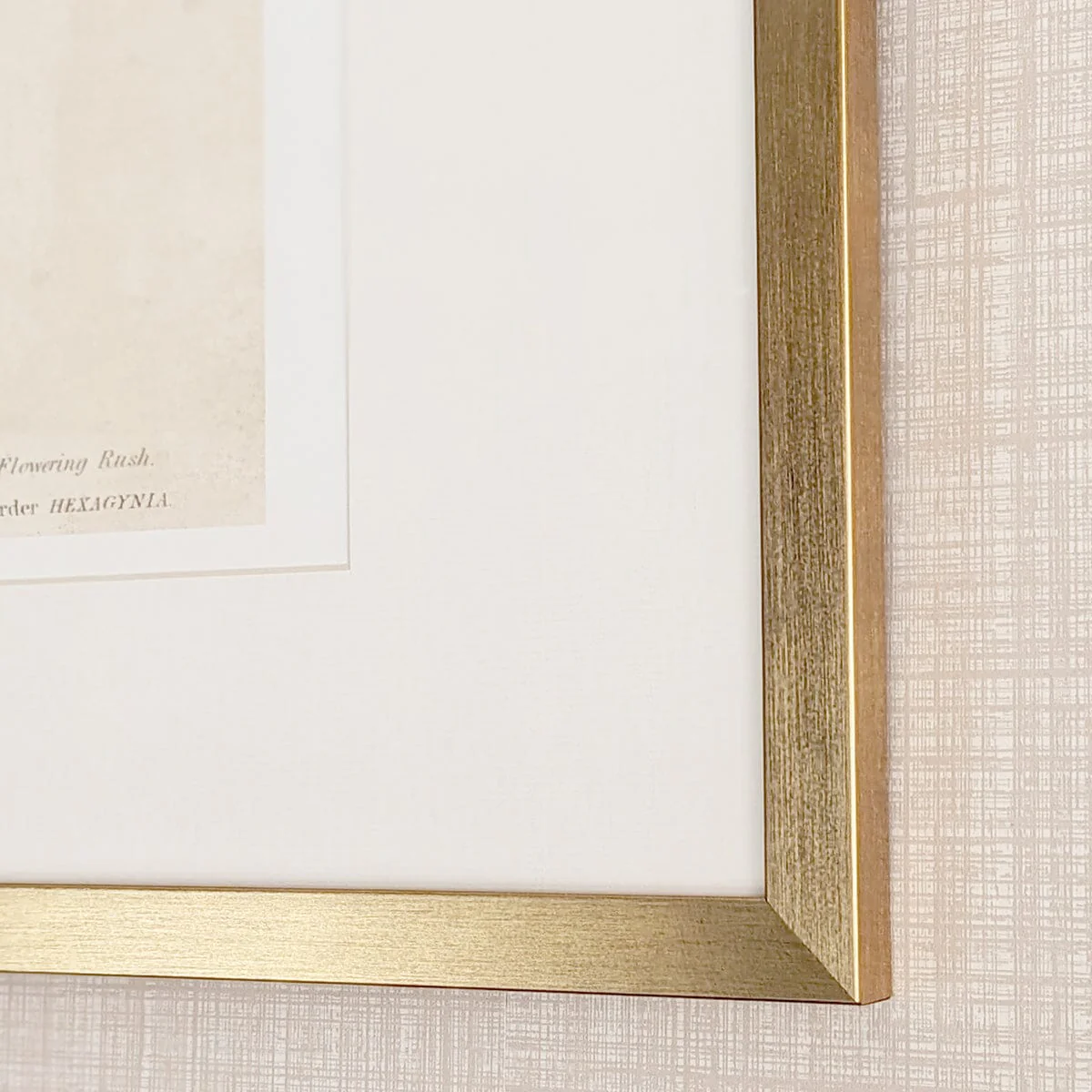 Diana Gold Framed Neutral Flower Wall Art - II - Image 3