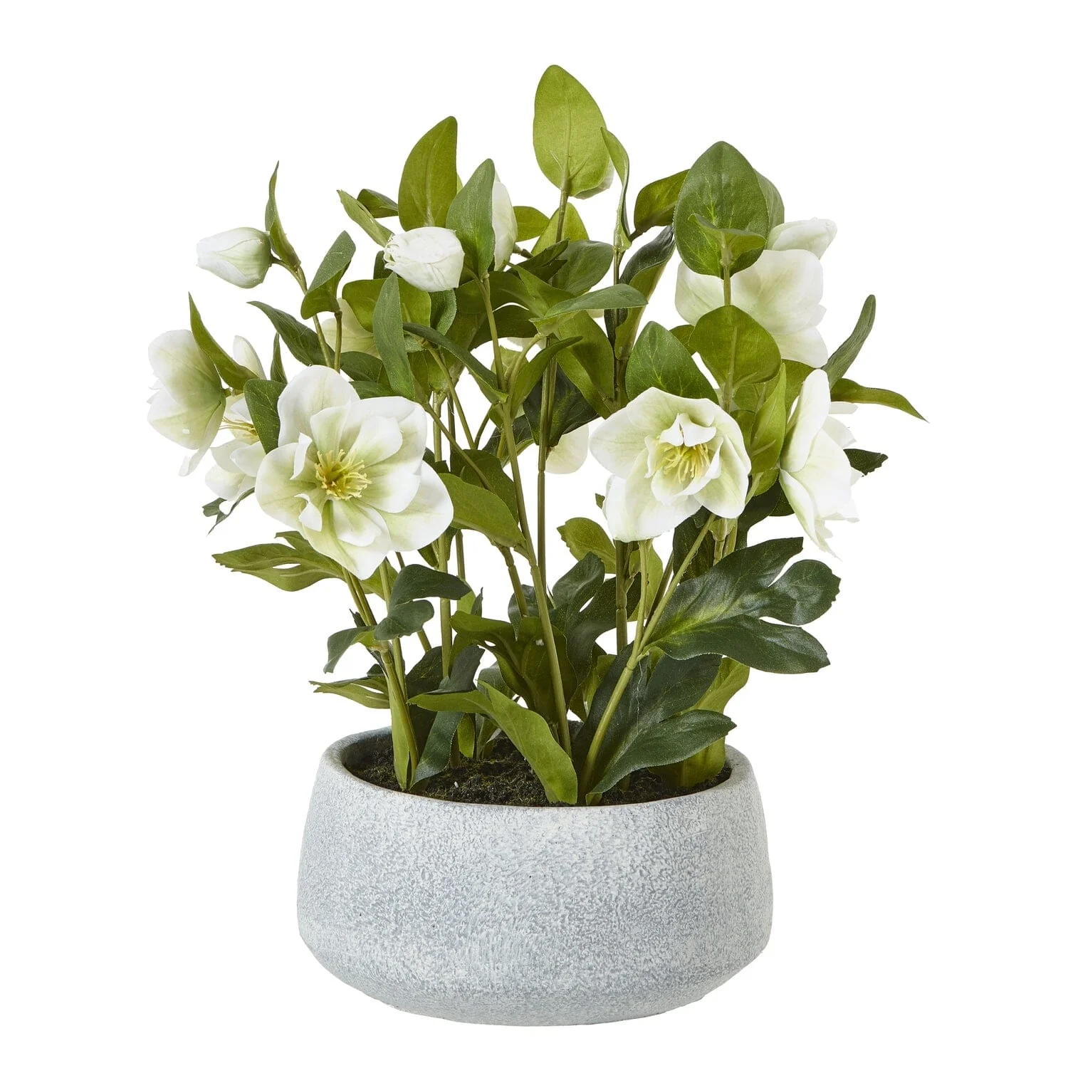 Faux White Hellebore Plant in Stone Pot - Image 4