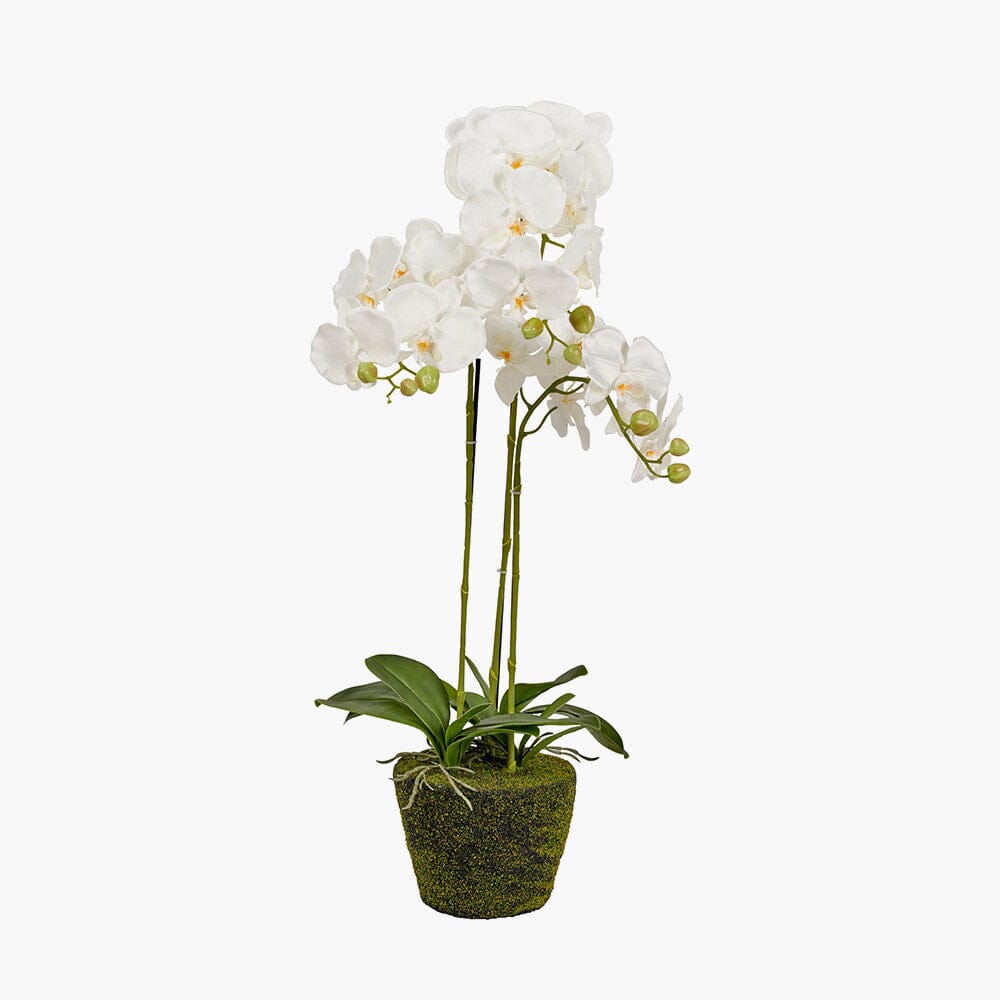 Faux White Orchid in Moss Pot - Image 3