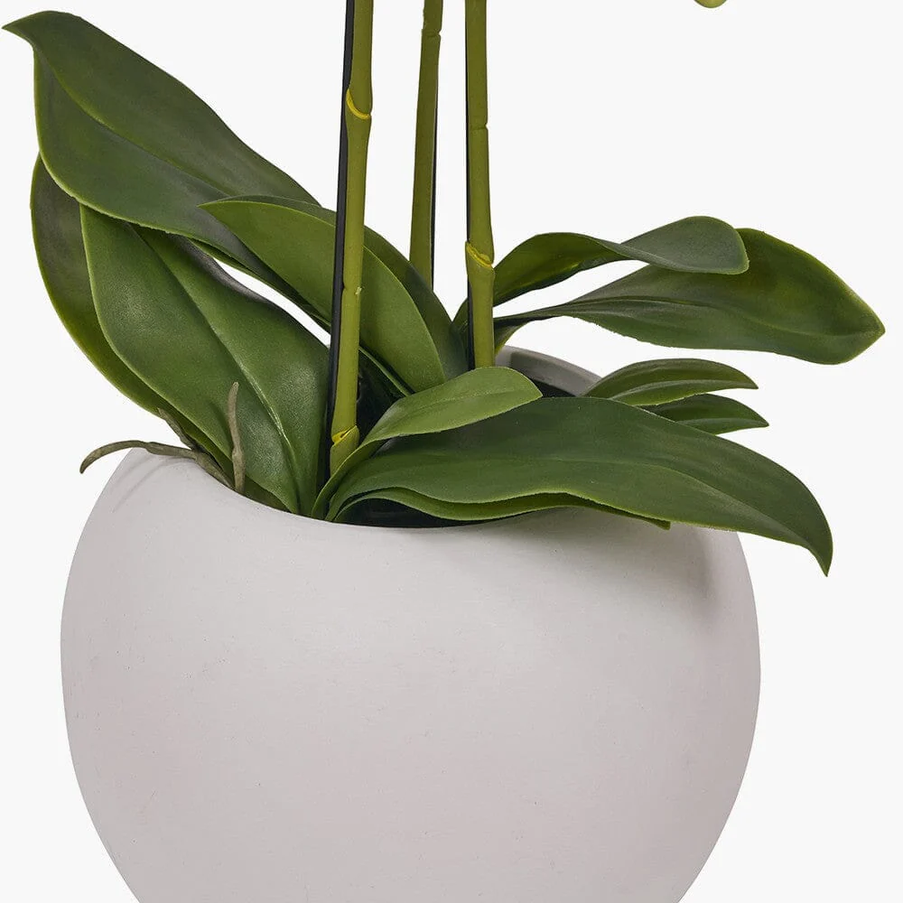 In Stock - Medium White Faux Potted Orchid Decorative Floral - Image 4