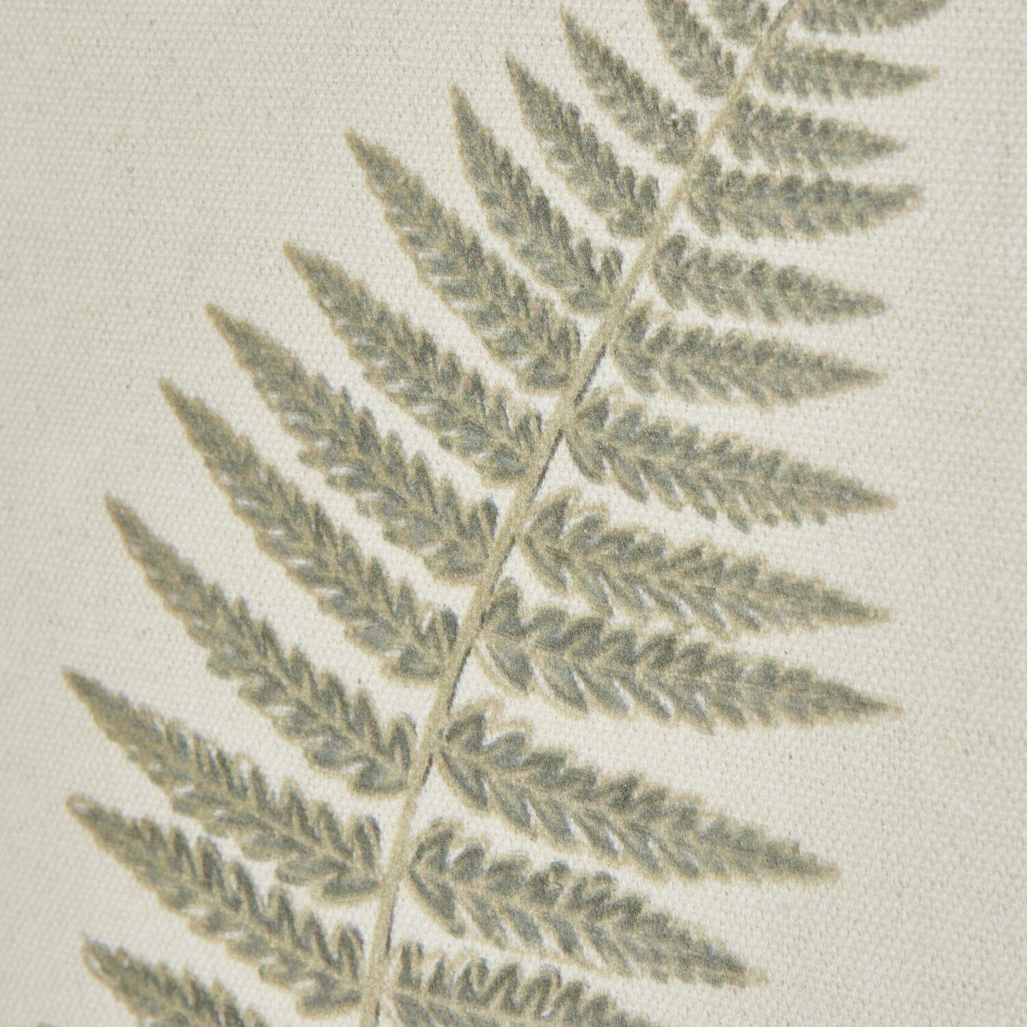 Nia Sage Green Fern Leaf Print Framed Wall Art - Image 5