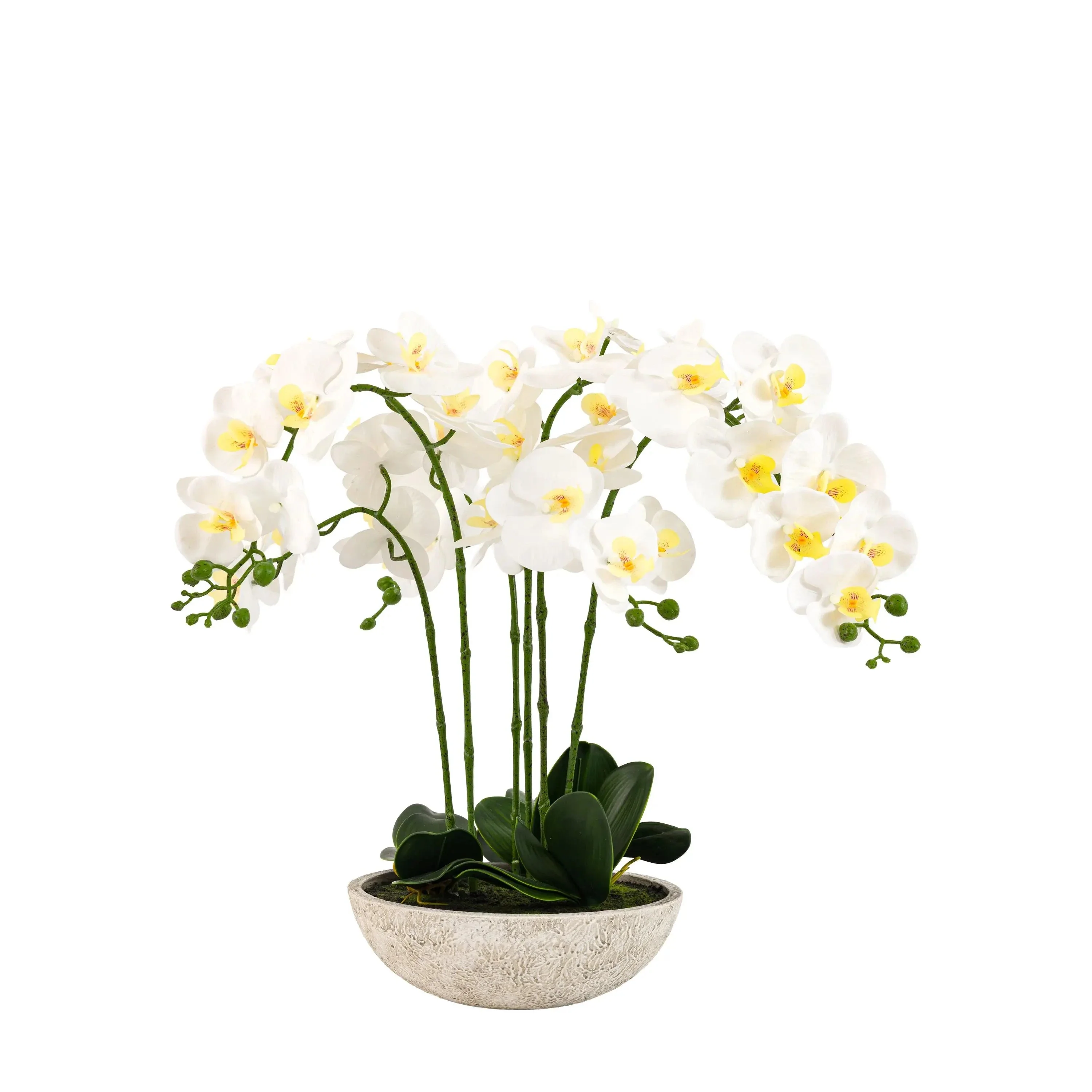Oversized Faux Orchid in White Cement Effect Pot - Image 2