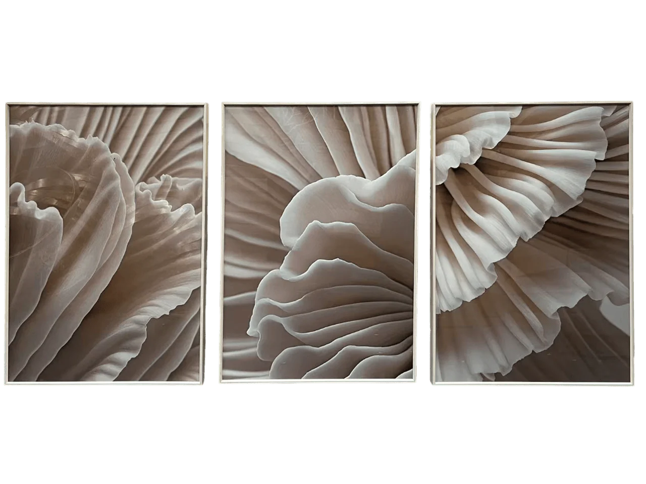 Pistoria Neutral Petal Wooden Framed Wall Art - Set of 3 - Image 2