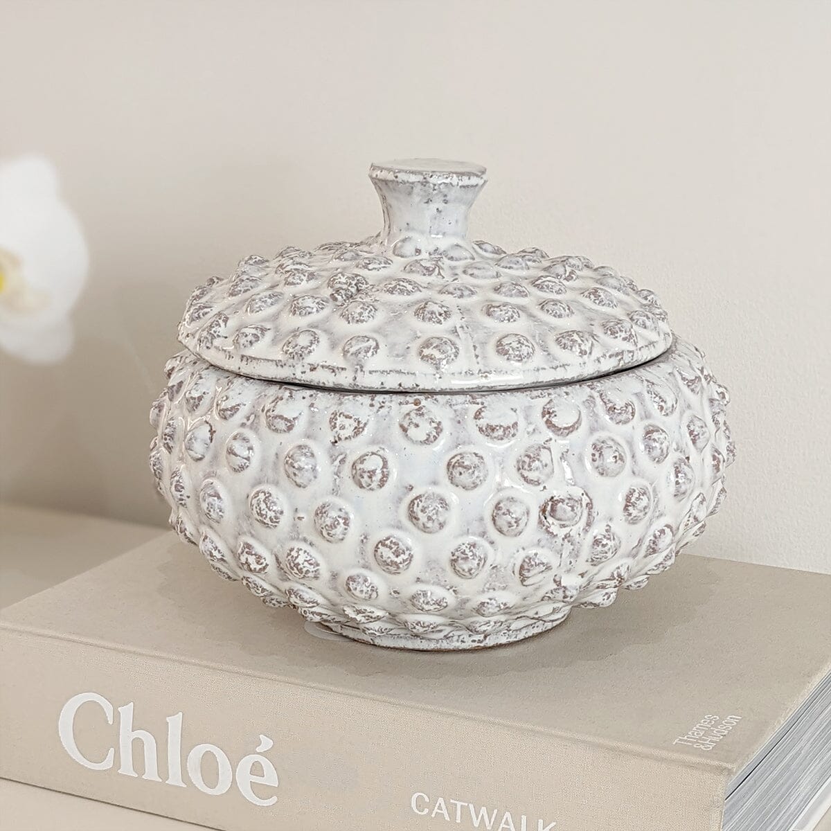 Sylvie White Bobbled Distressed Decorative Jar