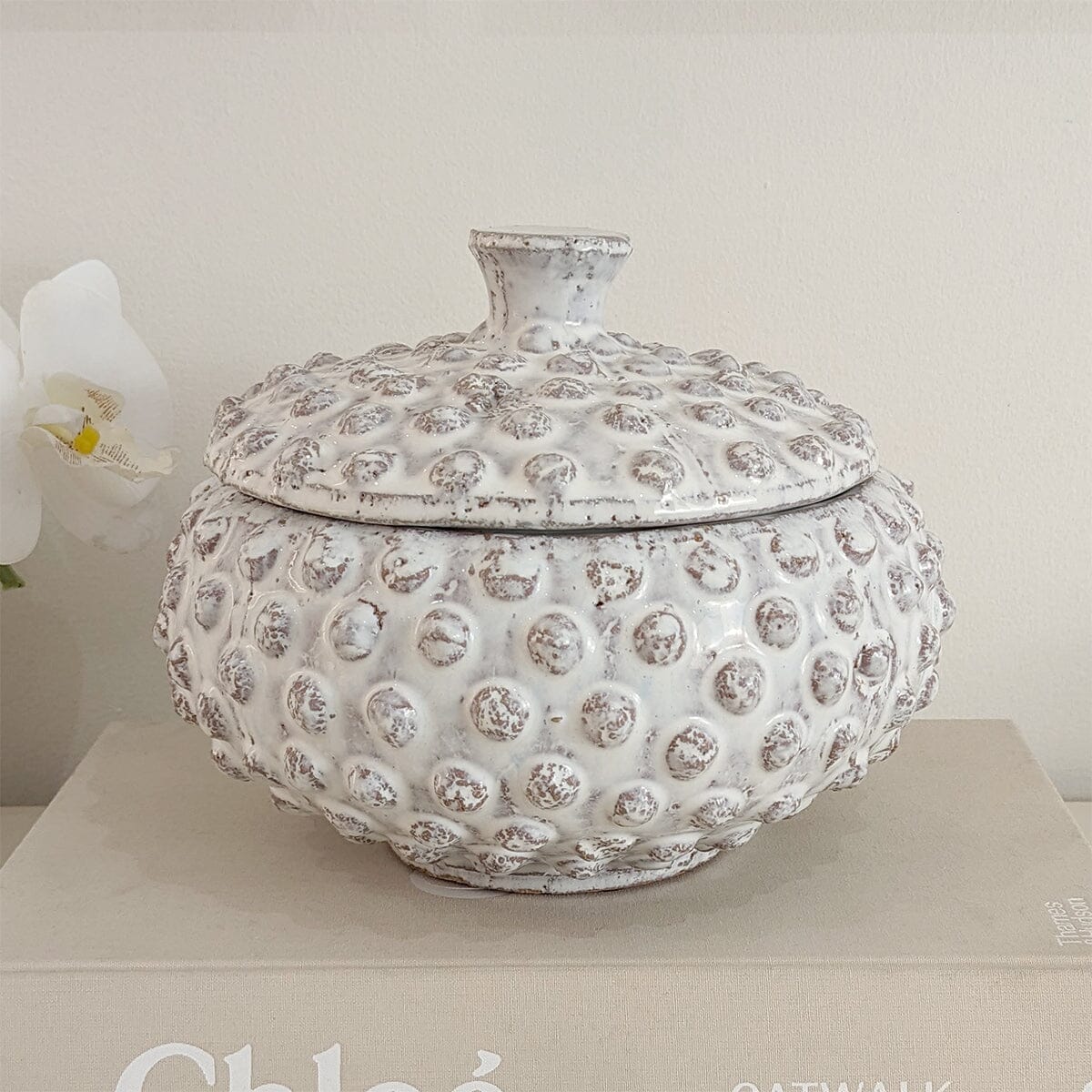 Sylvie White Bobbled Distressed Decorative Jar - Image 5