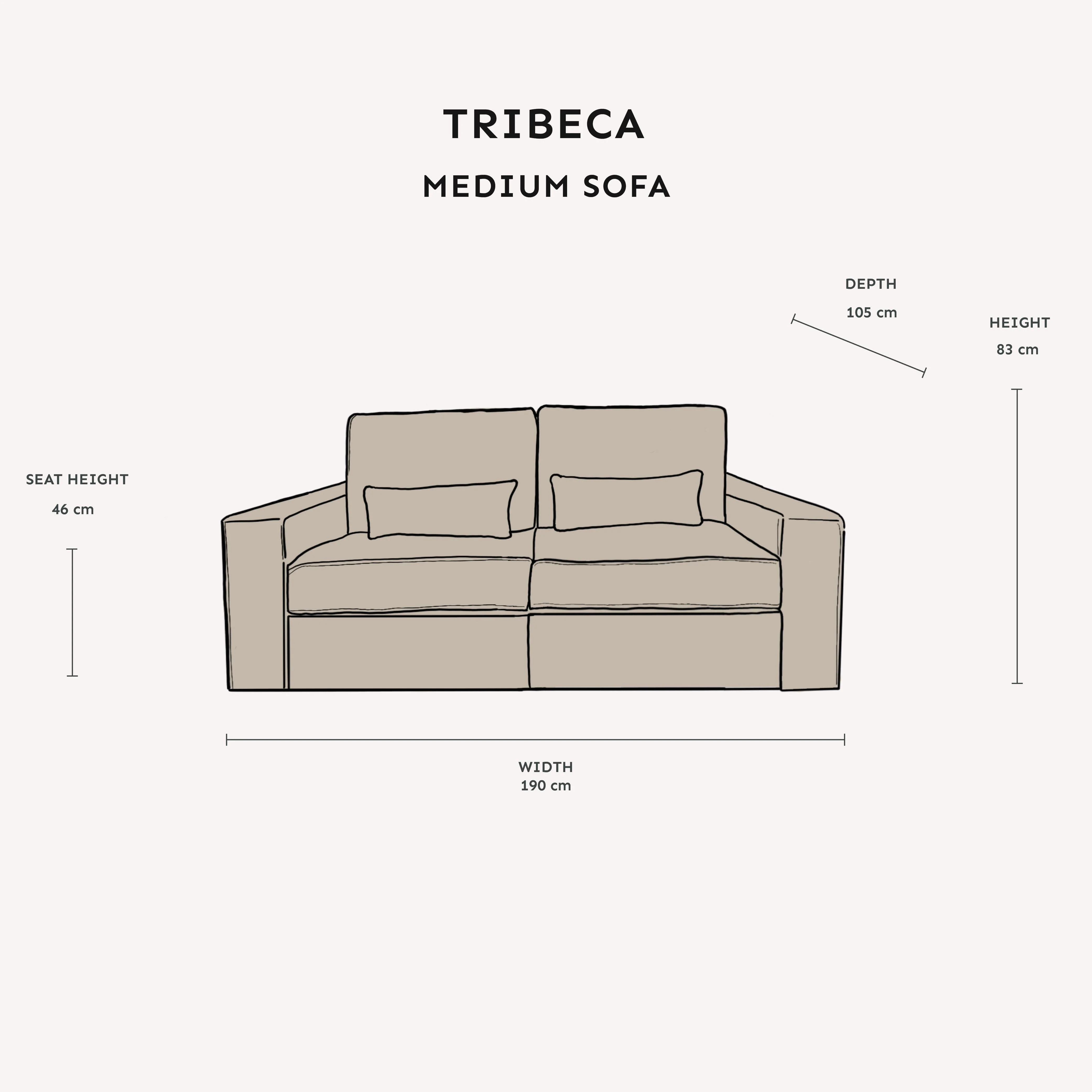 Tribeca Ash Greige 2 Seater Sofa - Image 3