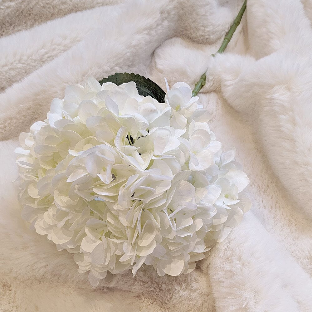Cream Giant Pom Pom Hydrangea Single Stem Flower - Image 4